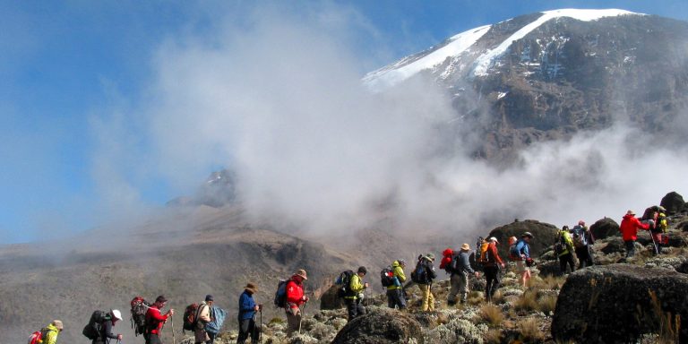 Lemosho Route Wilderness Trek – 8 Days