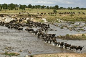 Serengeti National Park