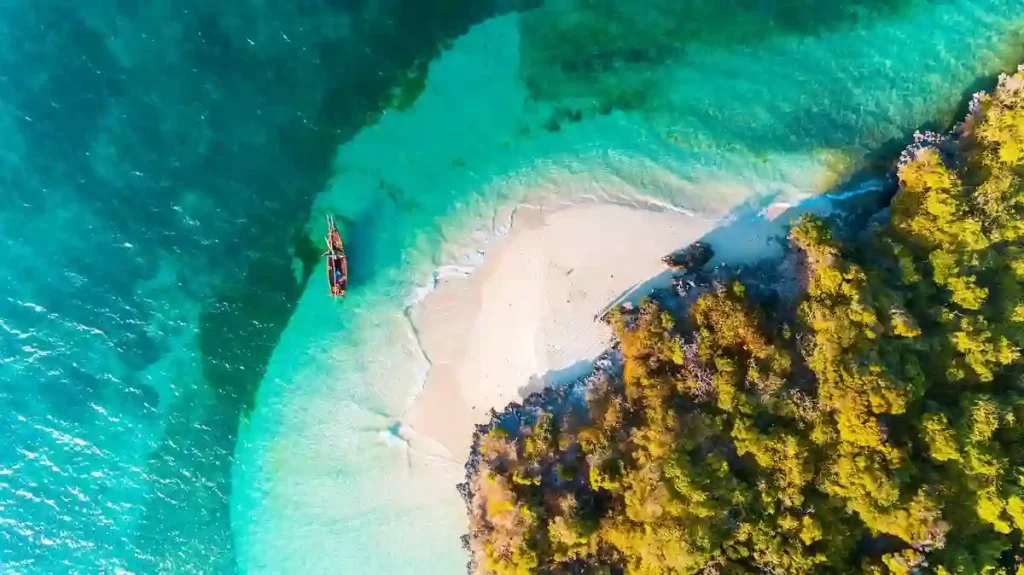 Zanzibar Beach Relaxation